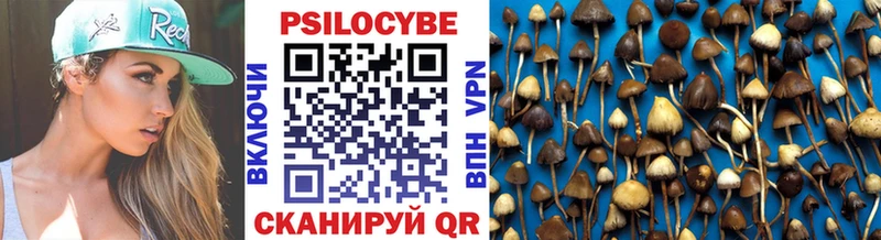 Купить закладки  Кизел  Псилоцибиновые грибы Cubensis 